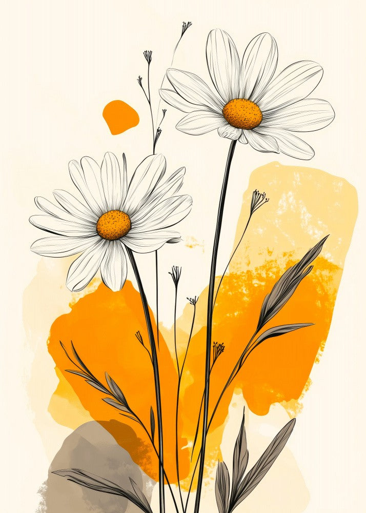 Botanical Illustration