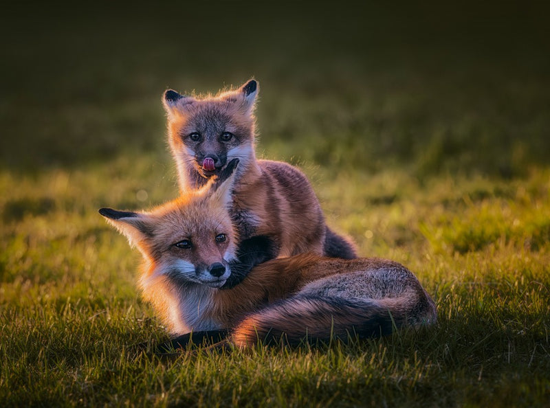 Massage For Hard-working Mum