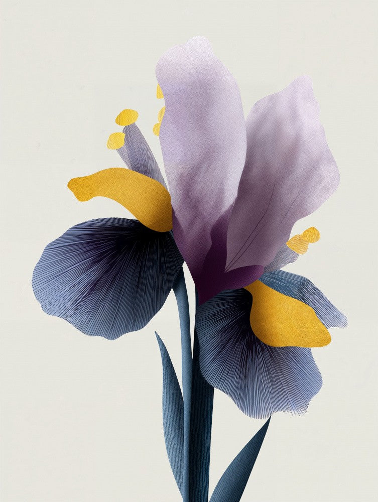 Iris Elegance