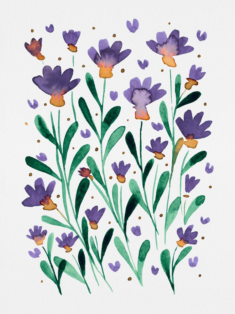 Violet Blooms