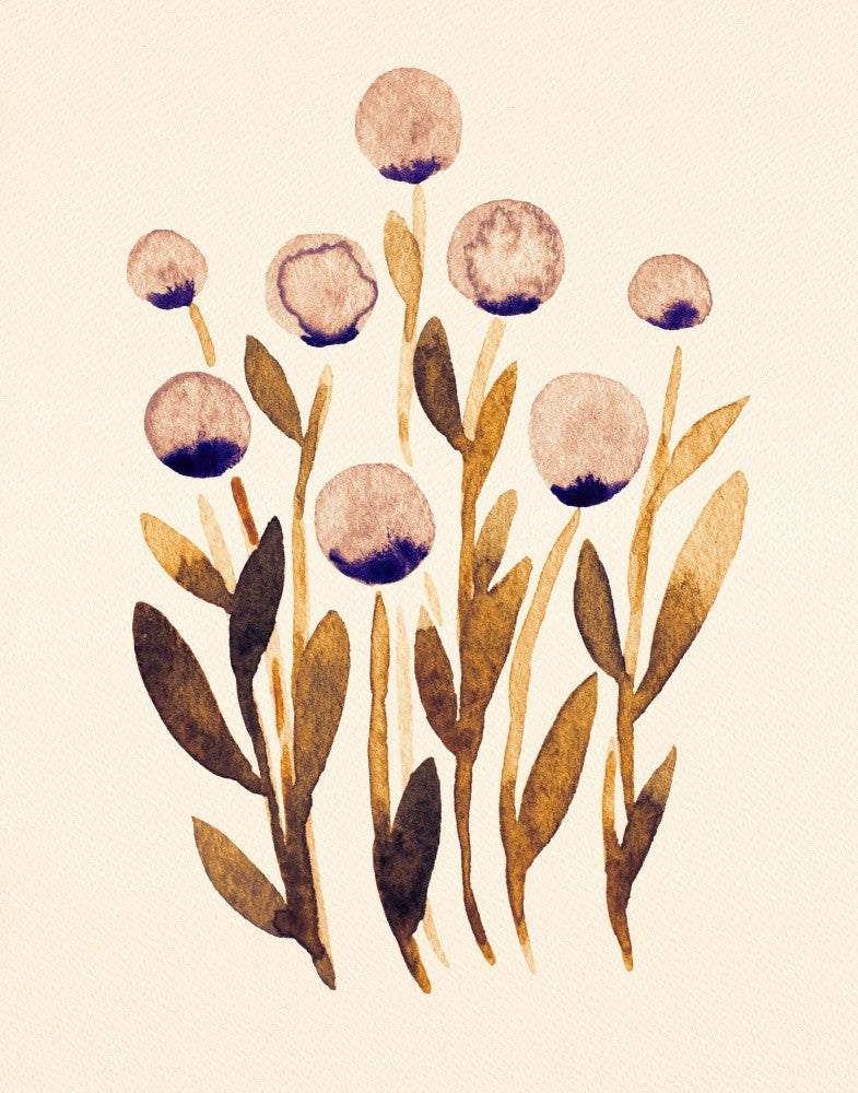 Stylized Botanical Blooms