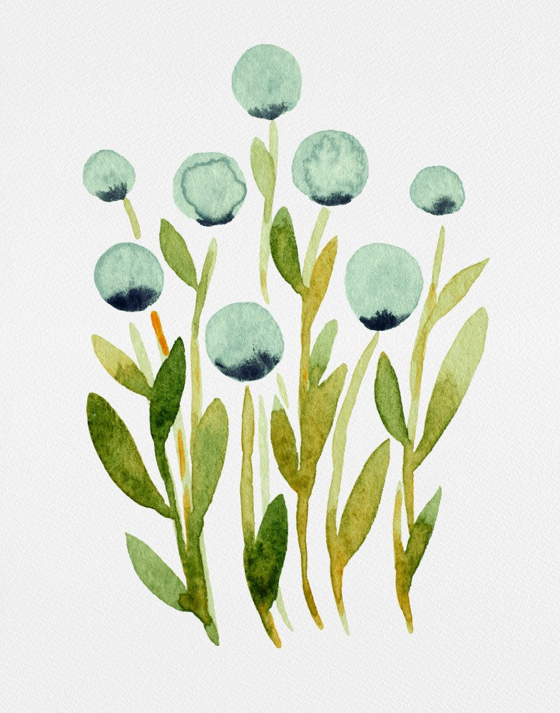 Blue Spherical Flowers