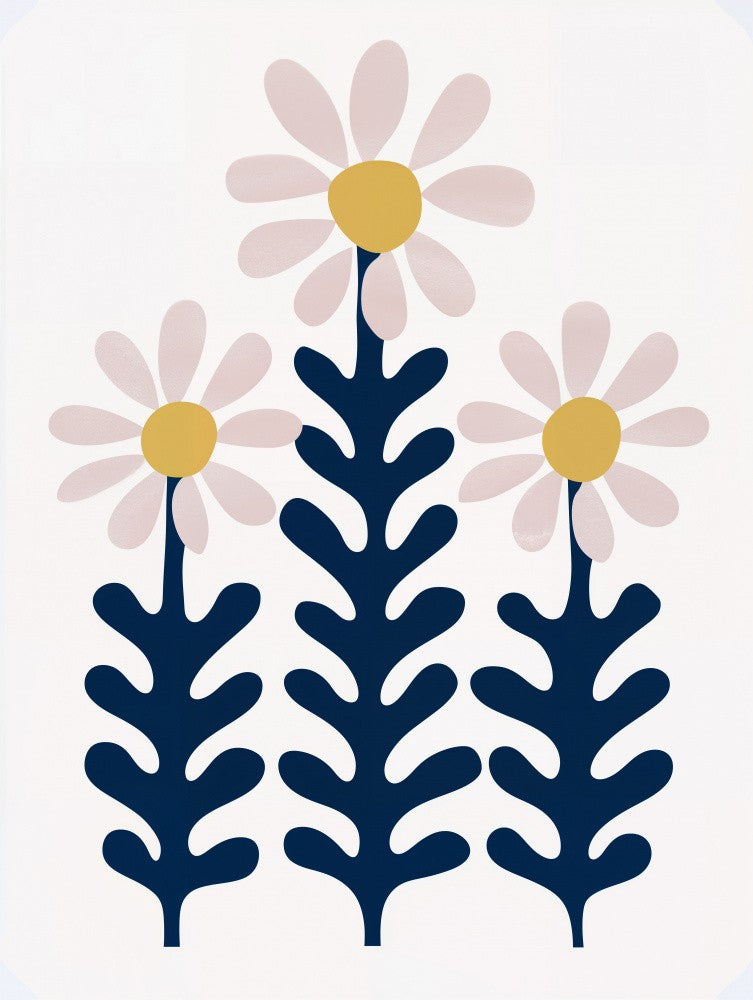 Daisy Trio Blooming