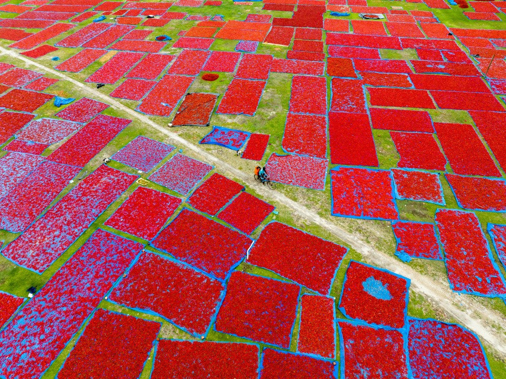 The land of red chilies