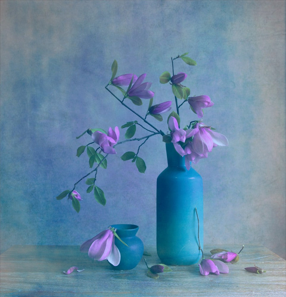 Magnolias in Blue