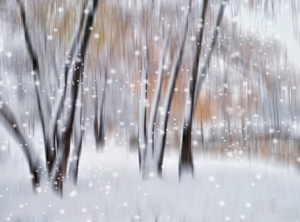 Winter day