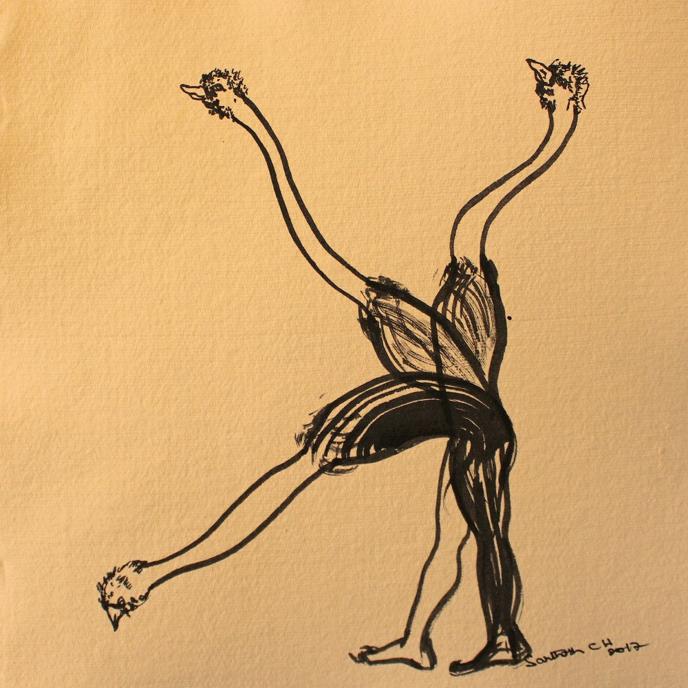 Ostrich Ballet Duo