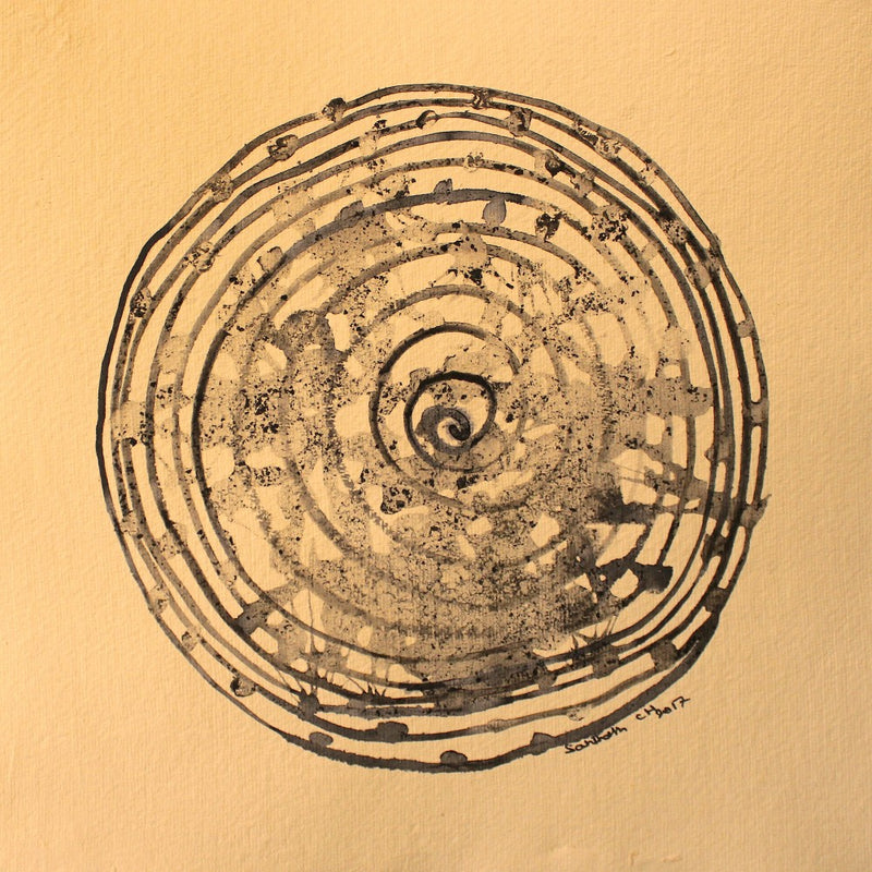 Concentric Whirl