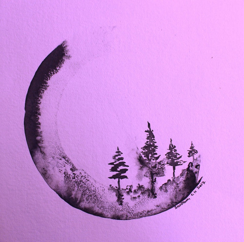 Moonlit Pines
