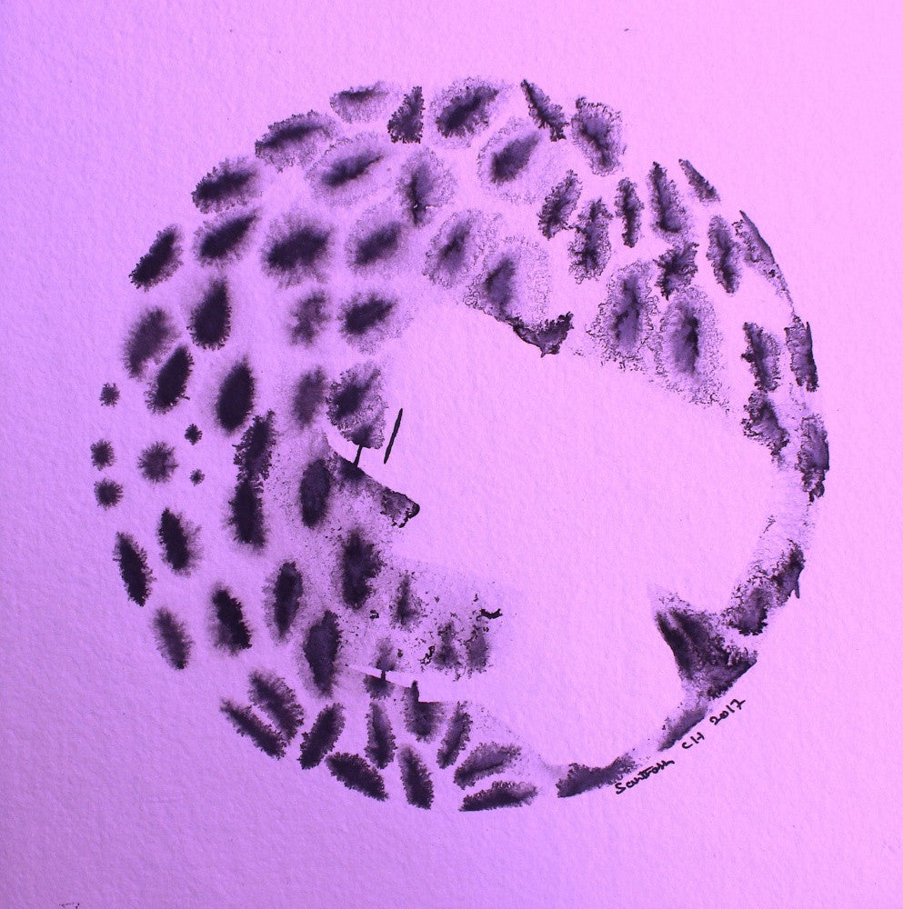 Whispers of Dots