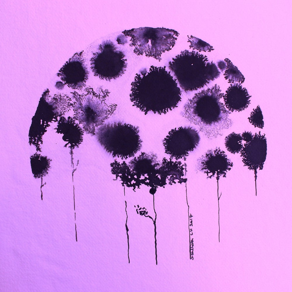 Himmlische Blüten