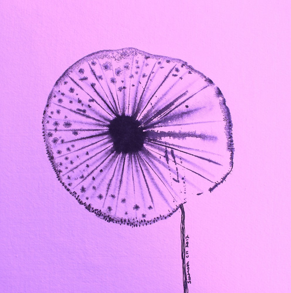 Circle 105