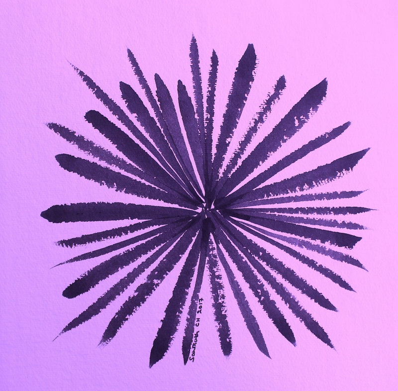 Petal Burst 展覧会
