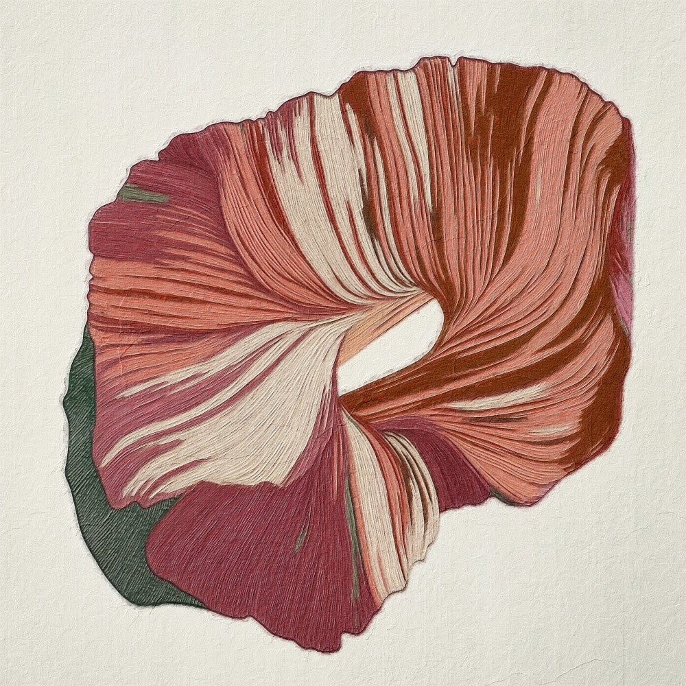 Floral Lines II