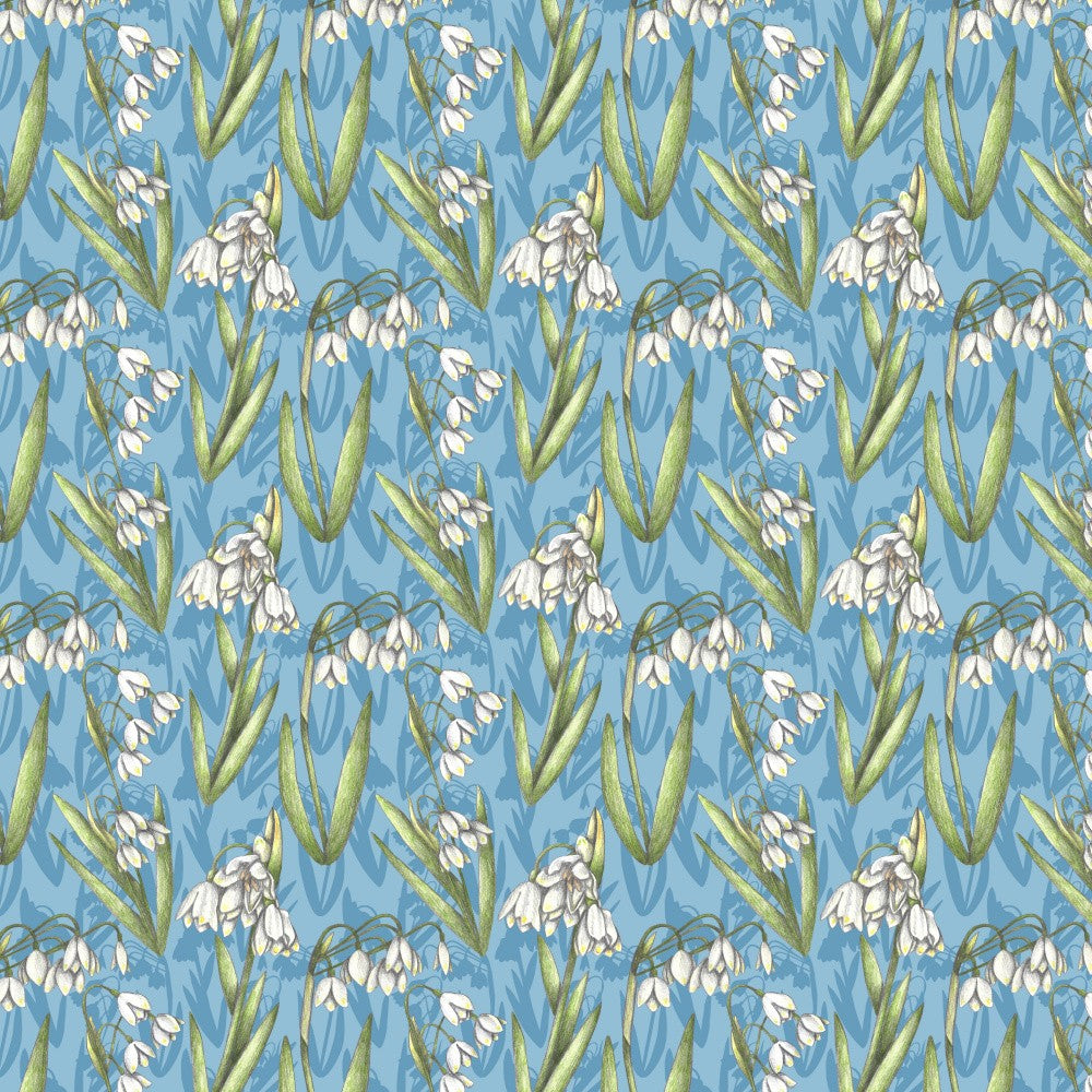 Snowdrop Flowers