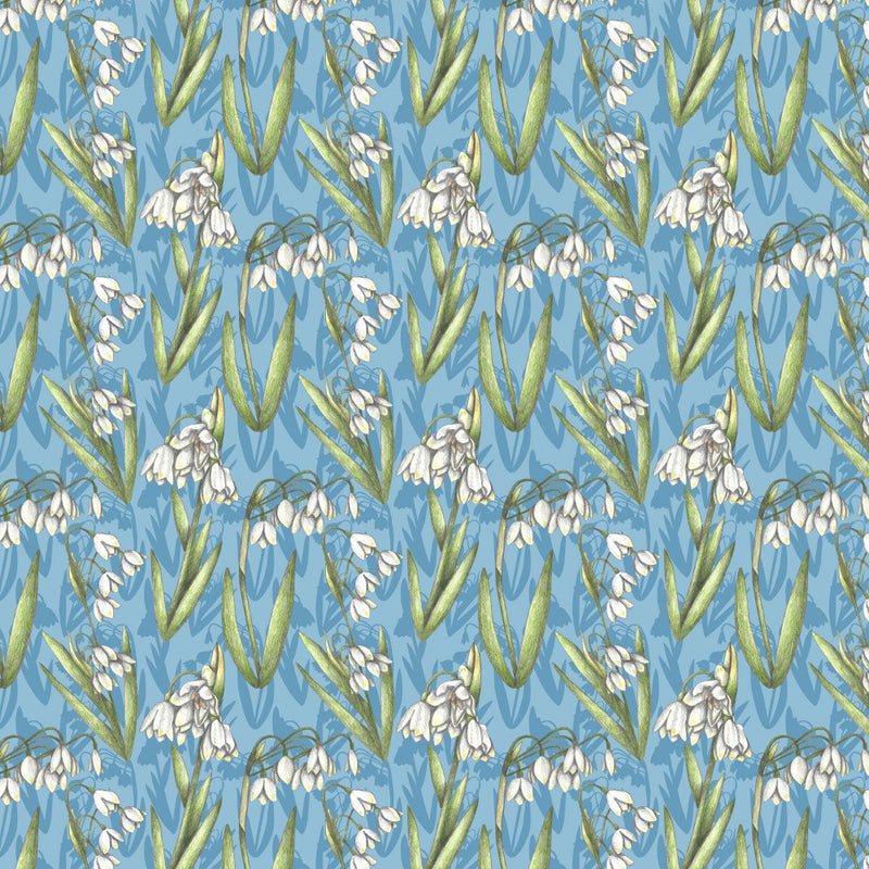 Snowdrop Flowers