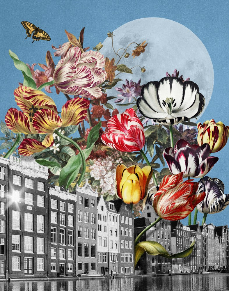 Vibrant Tulips And Intricate Butterflies