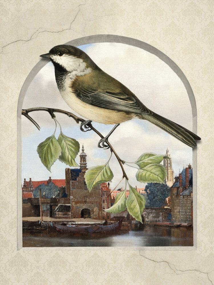 Avian Archway View