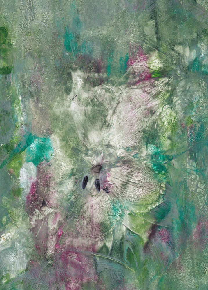 Enchanted Whispers