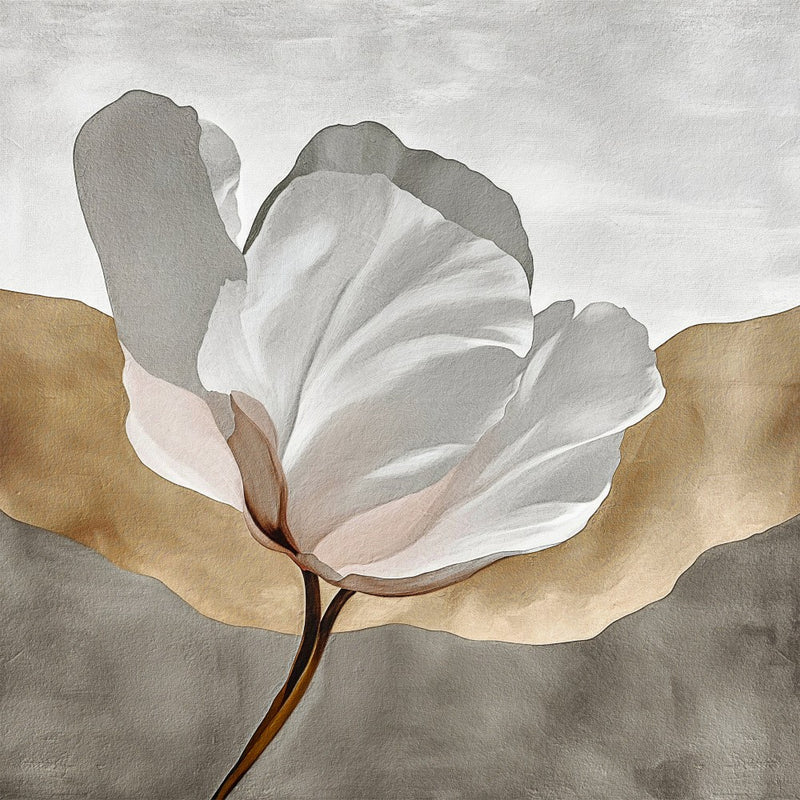 Virtuous II