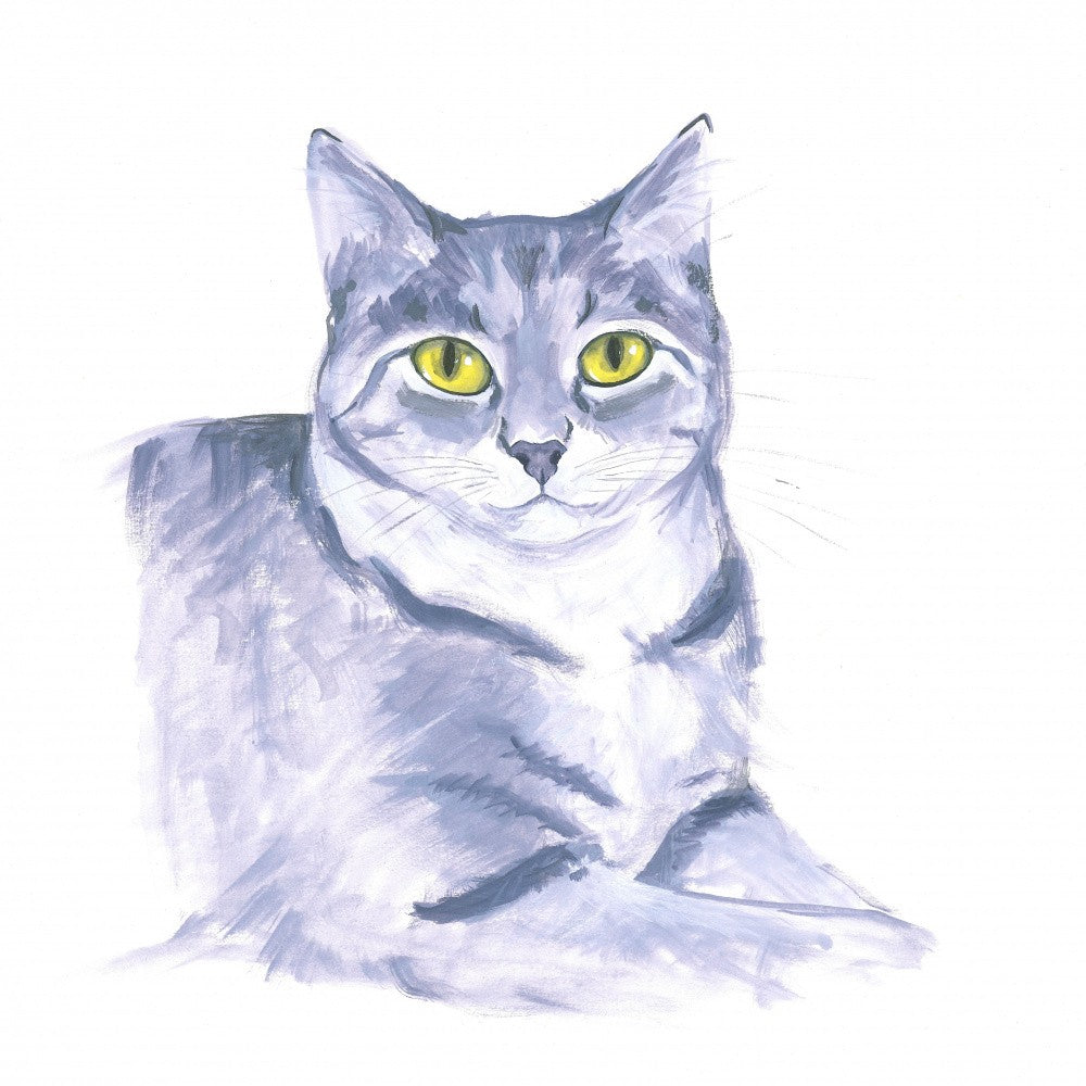 Observant Cat