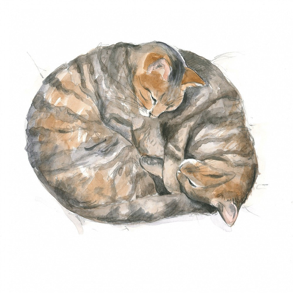 Round Cats