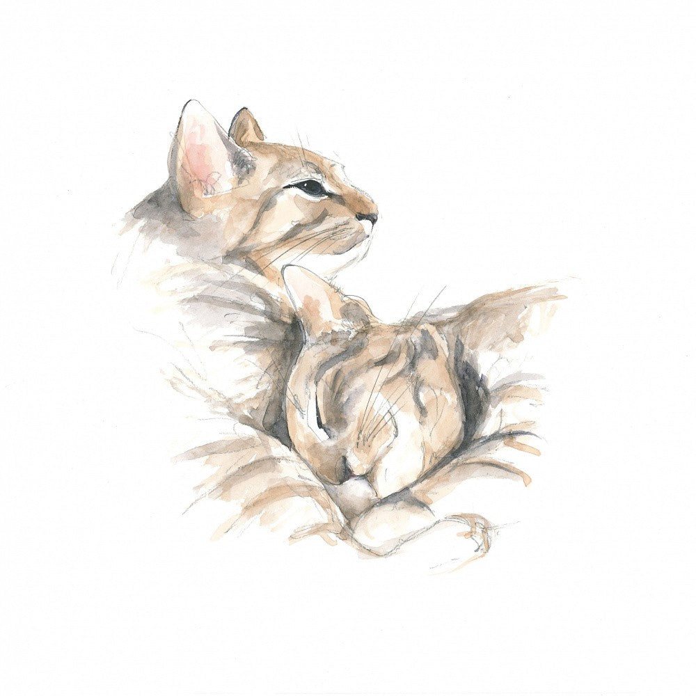 Relax Cats