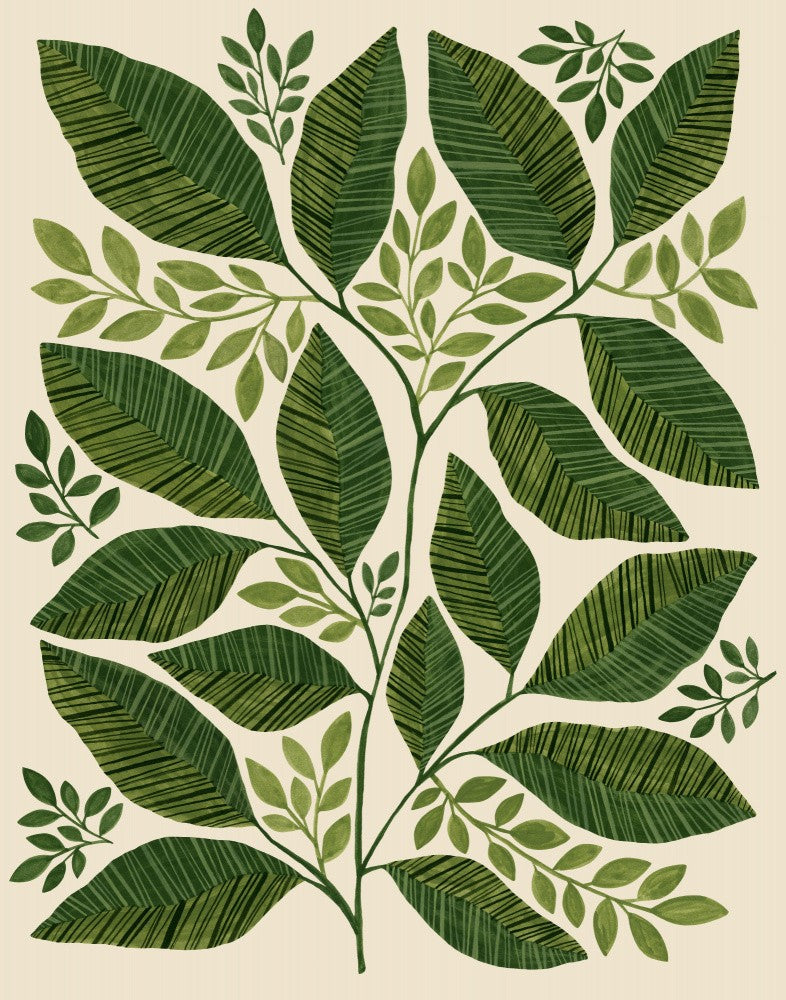 Striped Leaves Branch