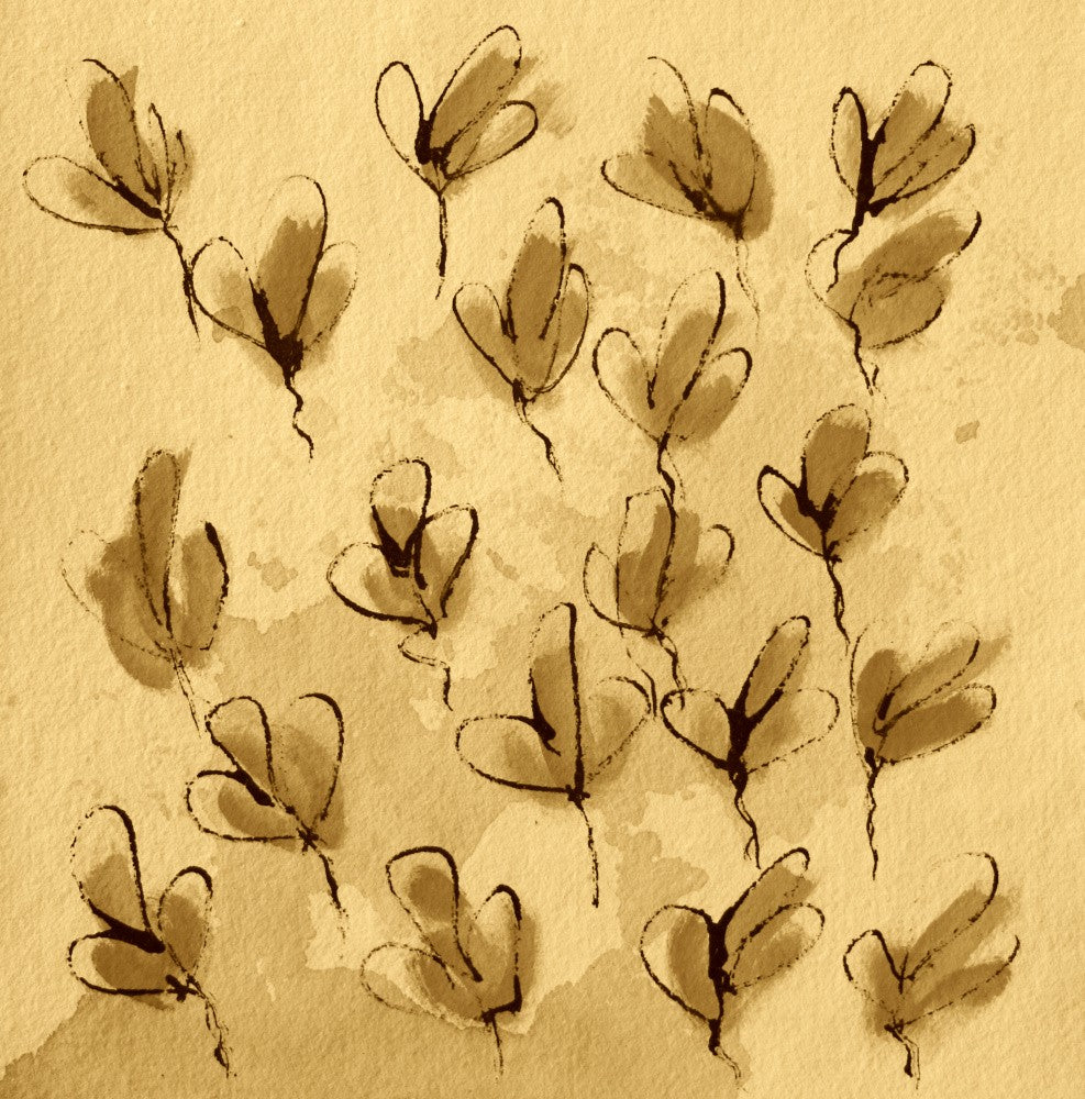 Delicate Petal Dance