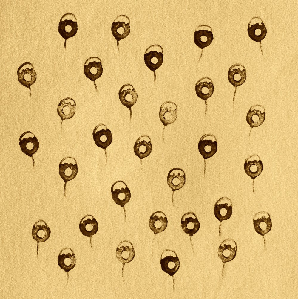 Stippled Petals