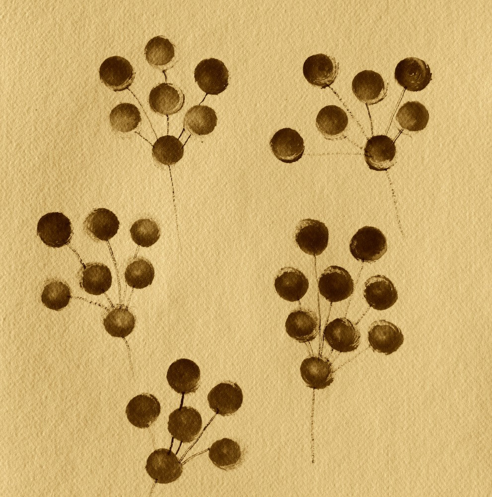 Sepia Blossoms