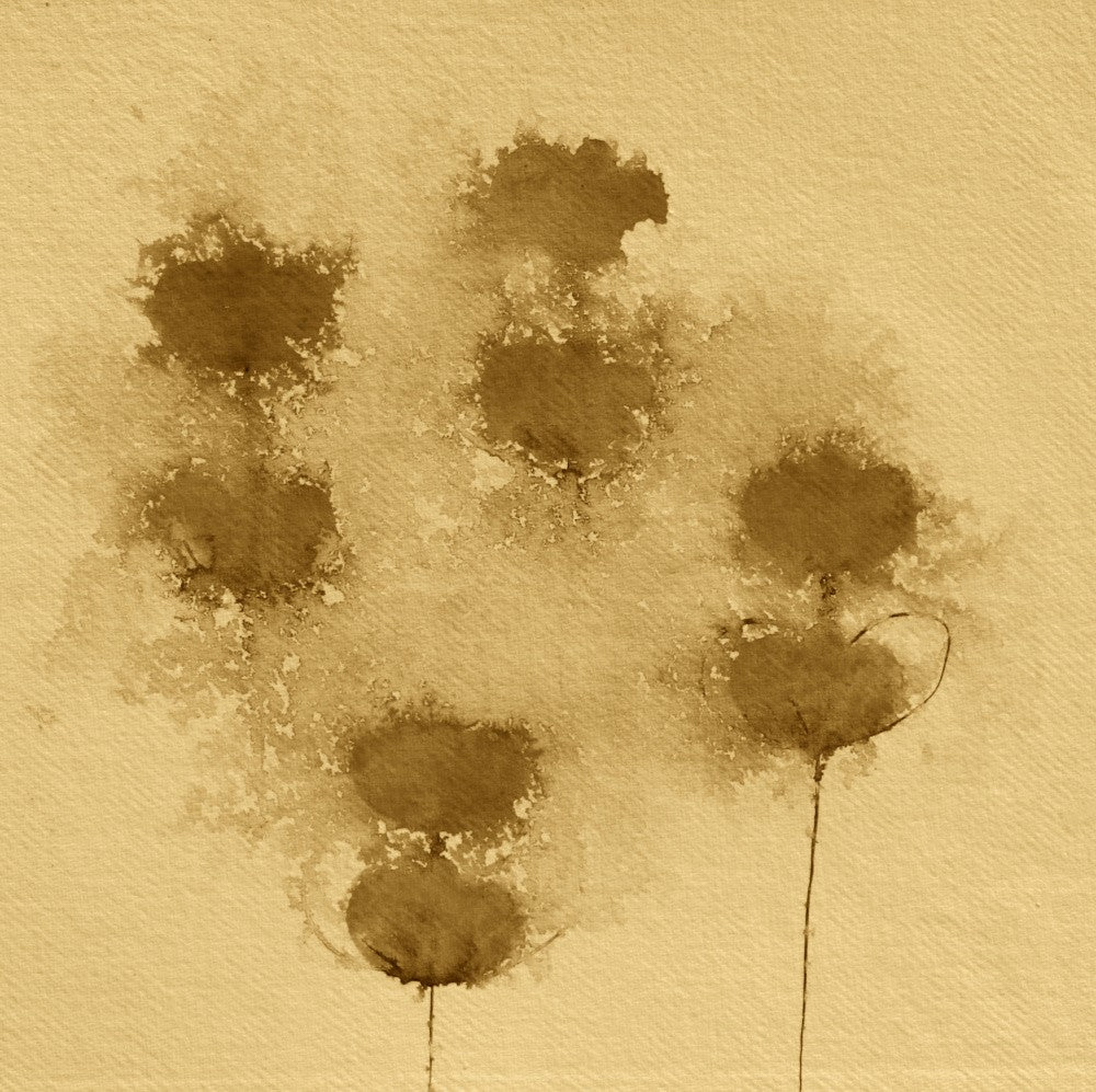 Sepia Dreams