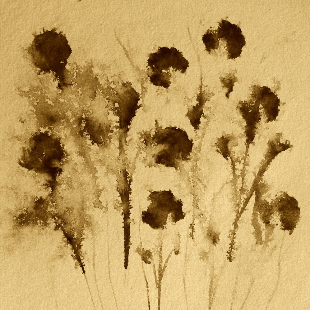 Sepia Blossoms