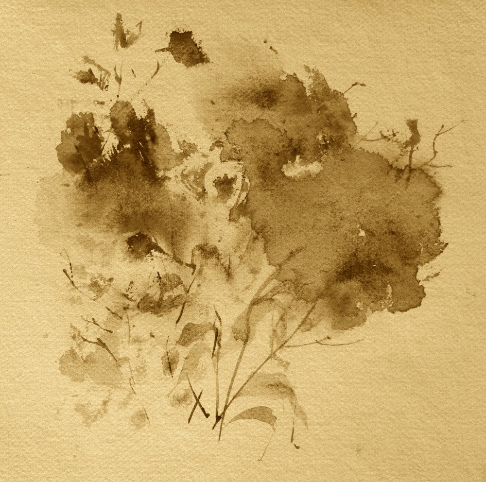 Sepia Blossoms