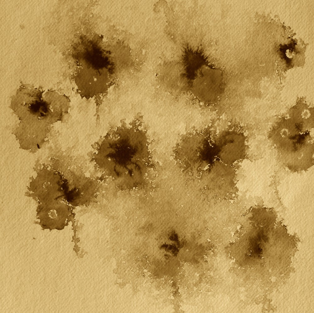 Sepia Splatter Blossoms