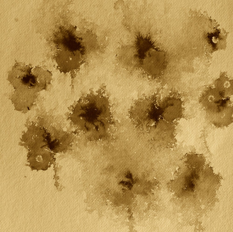 Sepia Splatter Blossoms