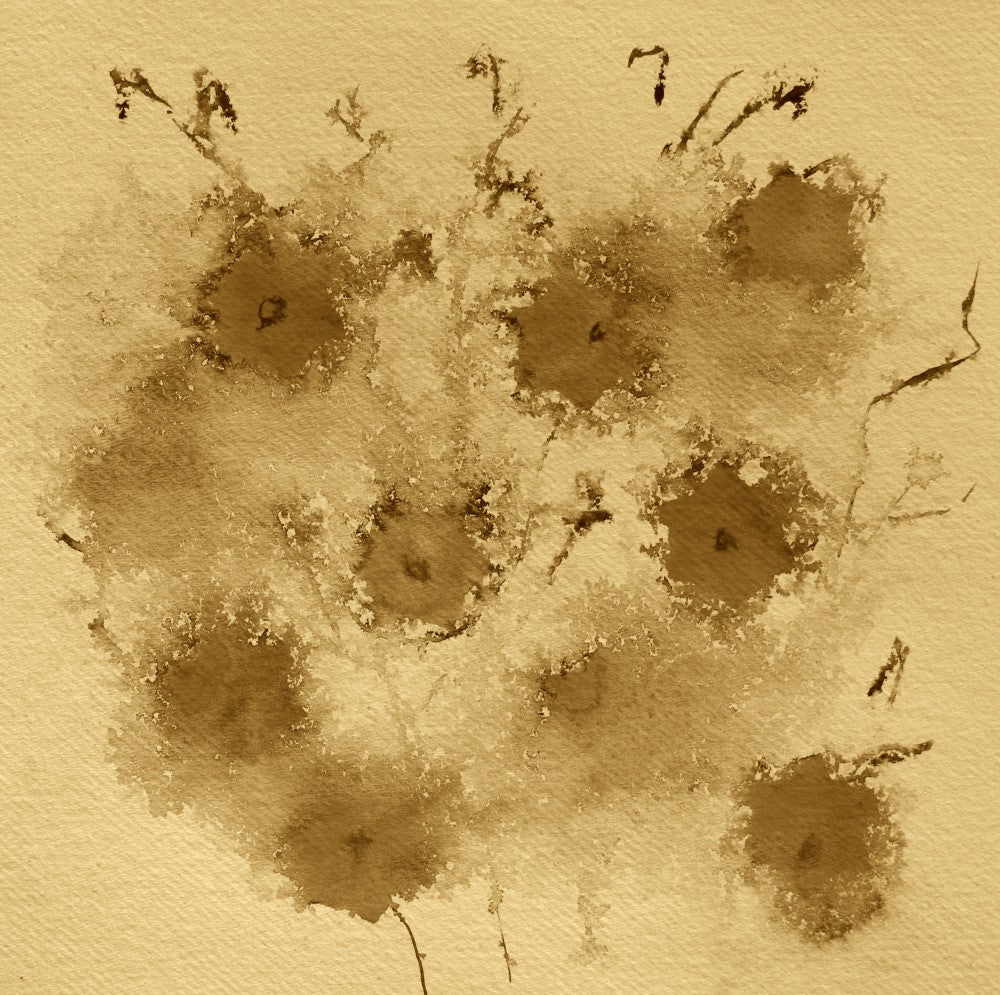 Rustic Blossoms