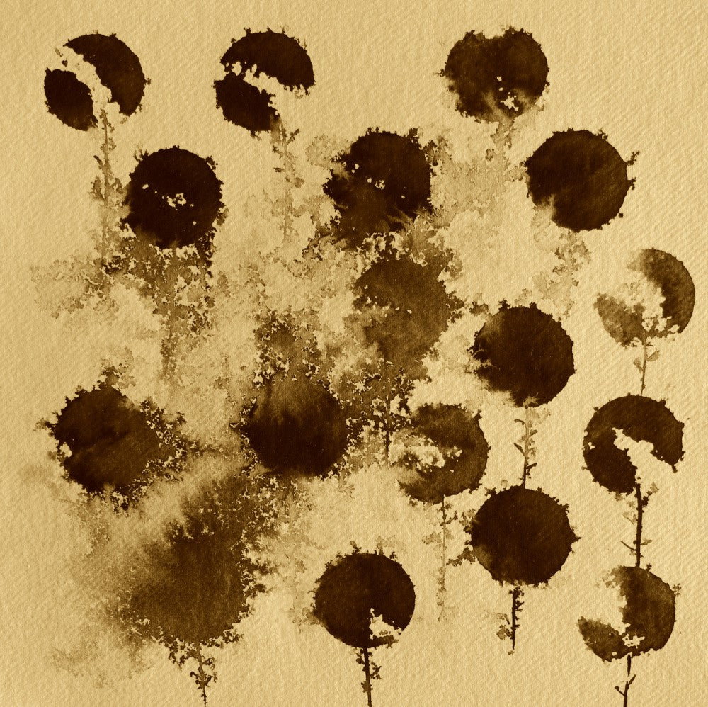 Sepia Blooms