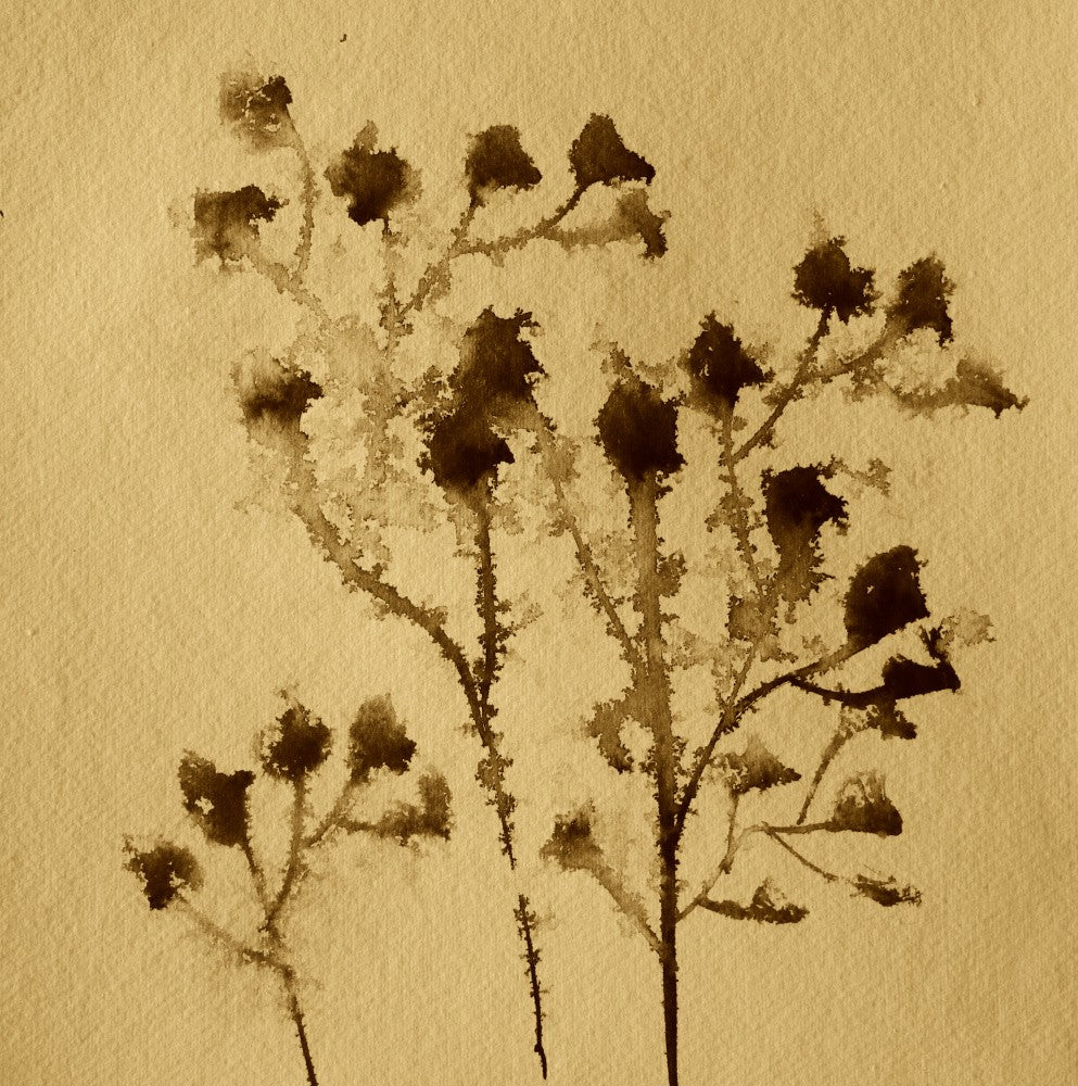 Flower Pattrens 32