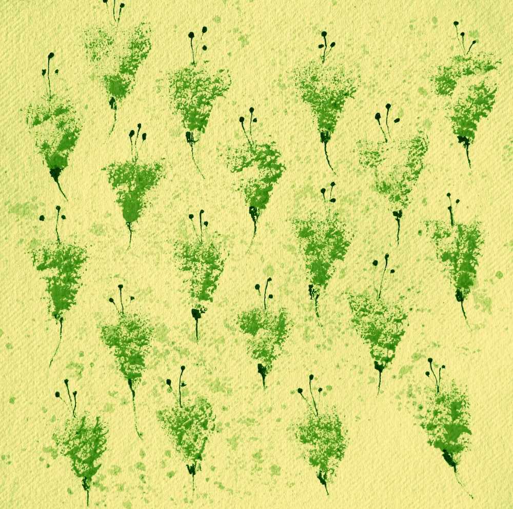 Sprout Patterns