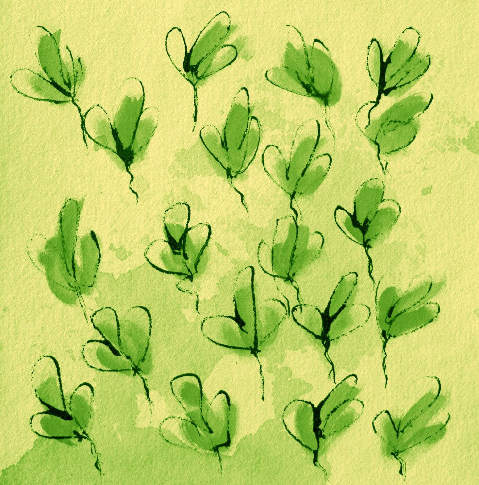 Sprouting Serenity
