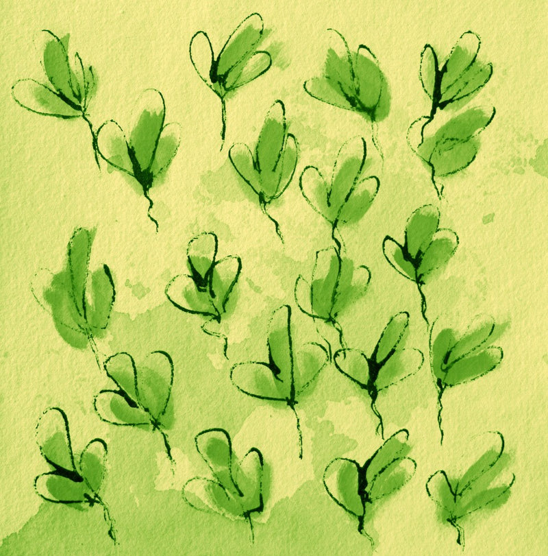 Sprouting Serenity