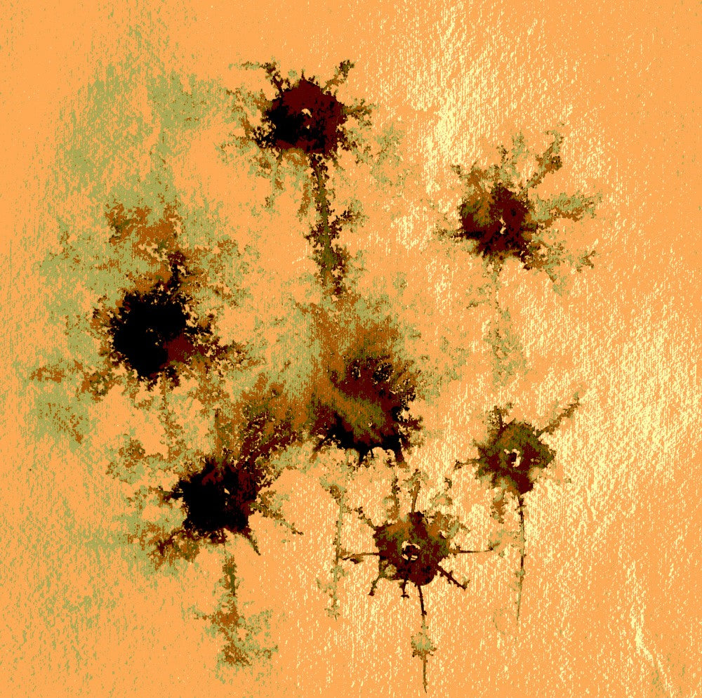 Flower Pattrens 63