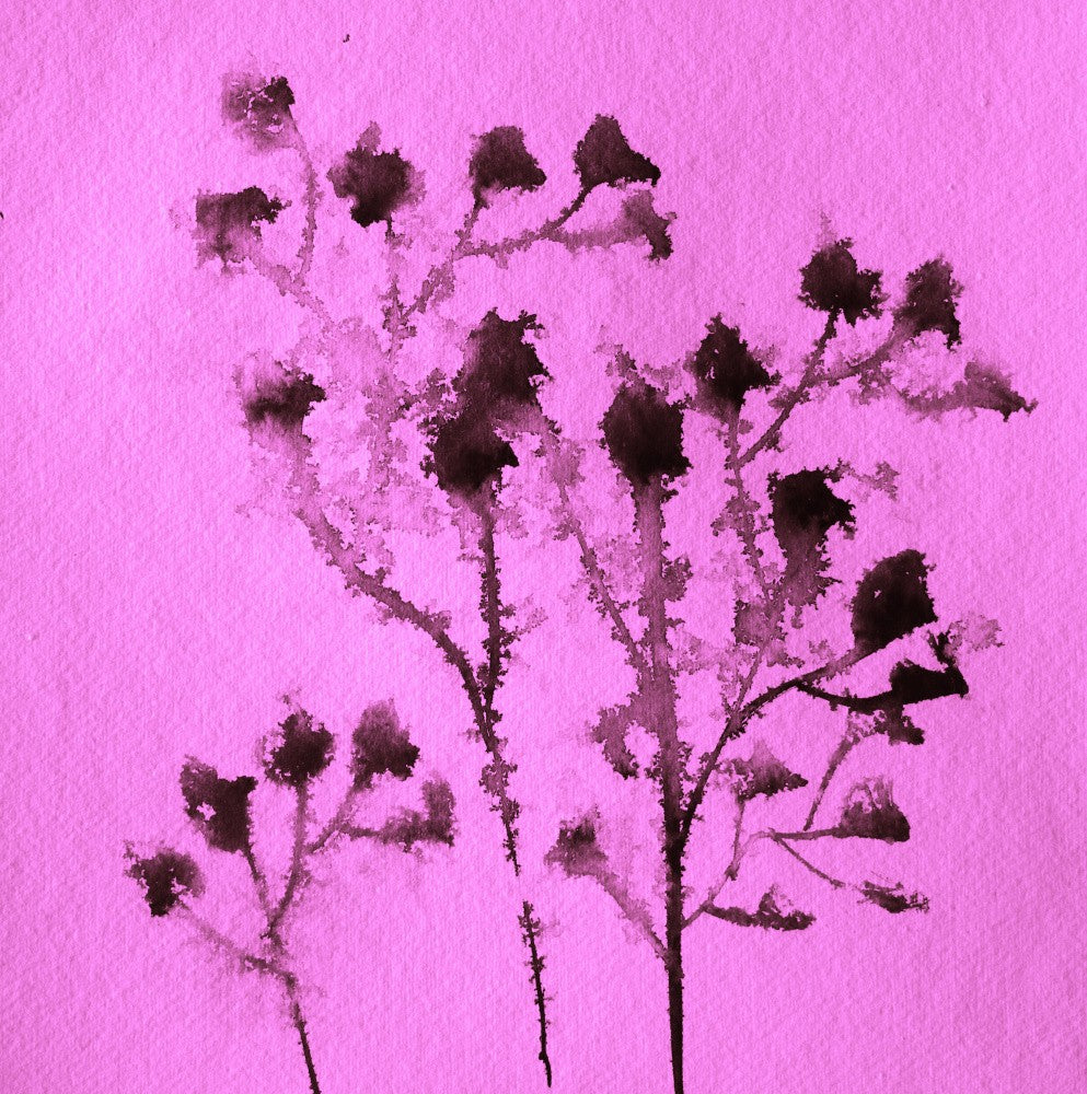 Dreamy Branches
