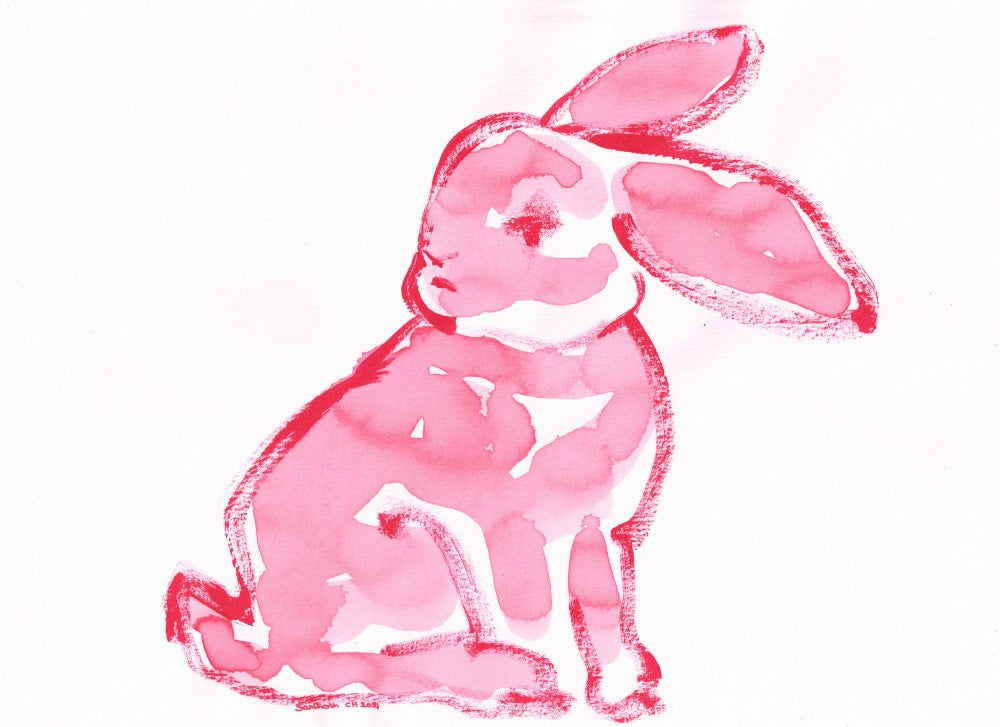 Rabbit 37