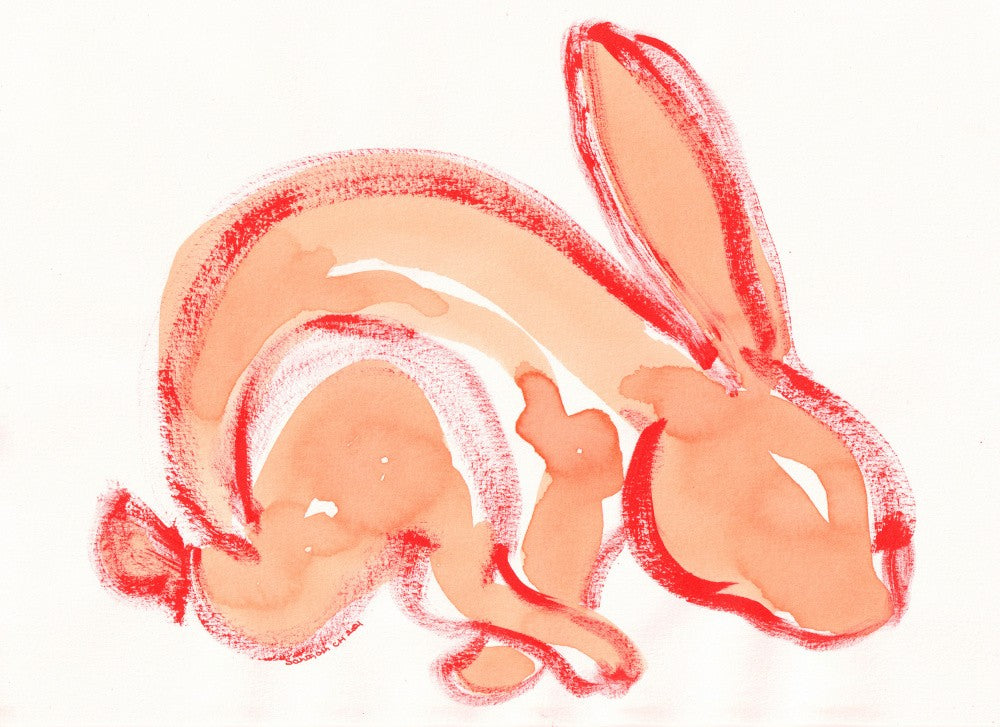 Gentle Brush Rabbit