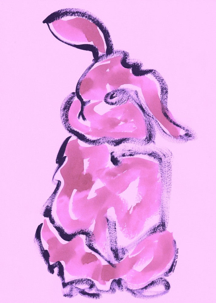 Rabbit 52