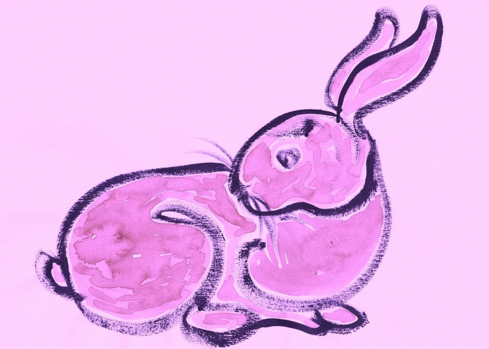 Pink Bunny Bliss