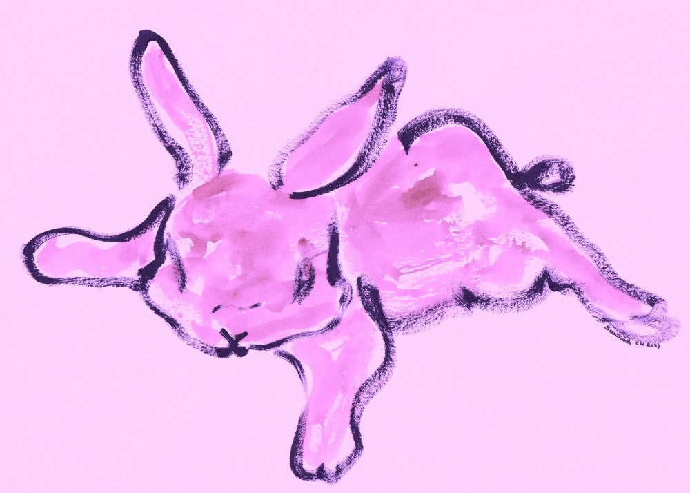 Rabbit 62