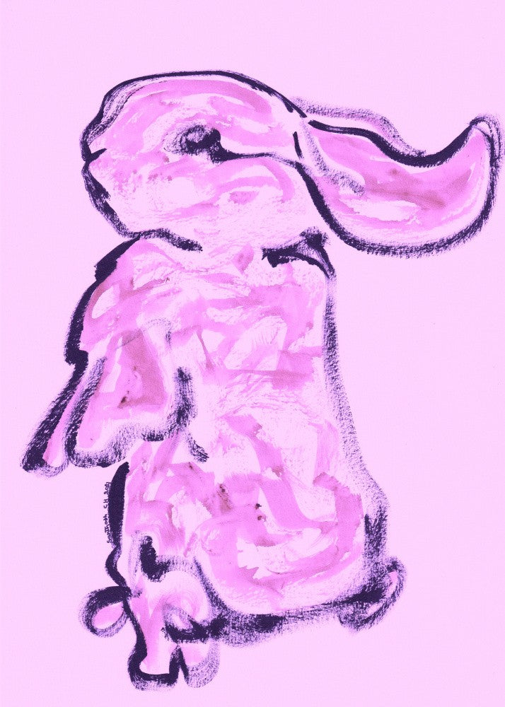 Rabbit 66